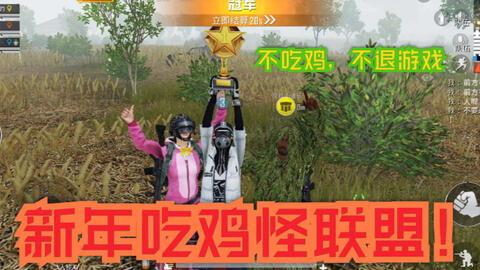 新年吃鸡爆料视频下载,视频揭秘全新玩法与惊喜
